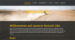 Desktop Screenshot of buessli.com